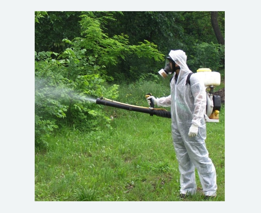 обработка дачи от клещей обработка территории от клещей в Шлиссельбурге