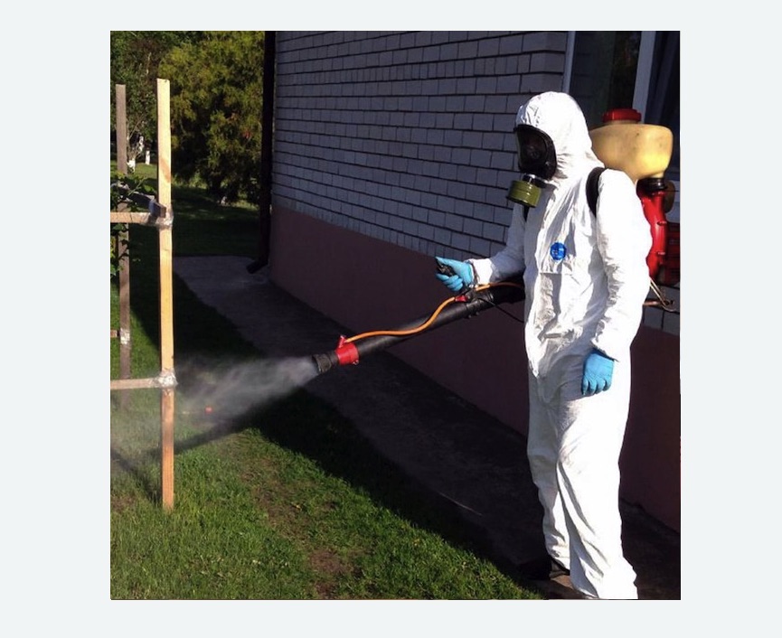 уничтожение клещей на участке травля клещей на участке в Шлиссельбурге