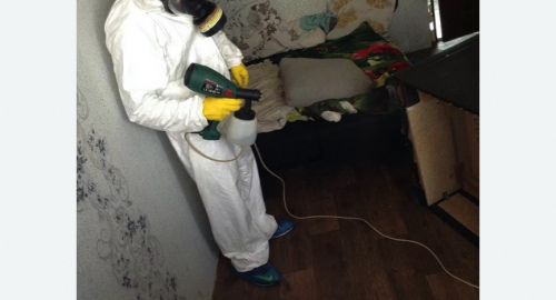 Обработка квартир от насекомых в Шлиссельбурге