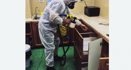 Дезинсекция квартиры. Шлиссельбург