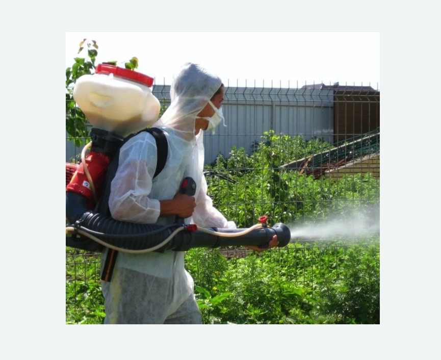 Акарицидная обработка территории в Шлиссельбурге