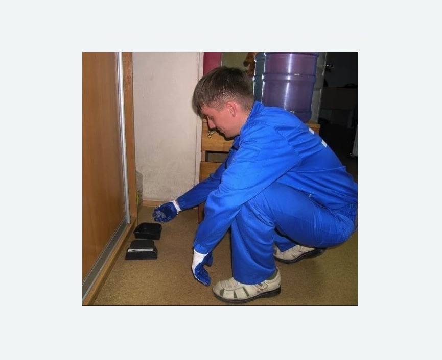 Дератизация крыс Дератизация крыс в Шлиссельбурге