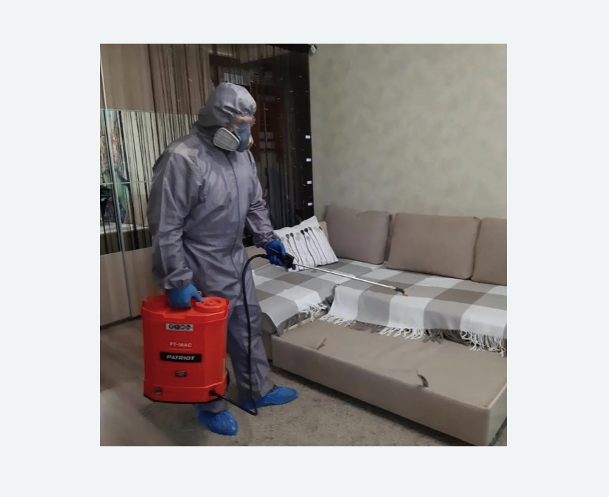 Обработка квартиры от блох в Шлиссельбурге Обработка квартиры от блох