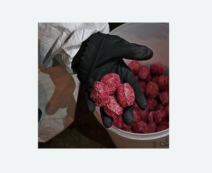 Обработка от крыс Обработка от крыс в Шлиссельбурге