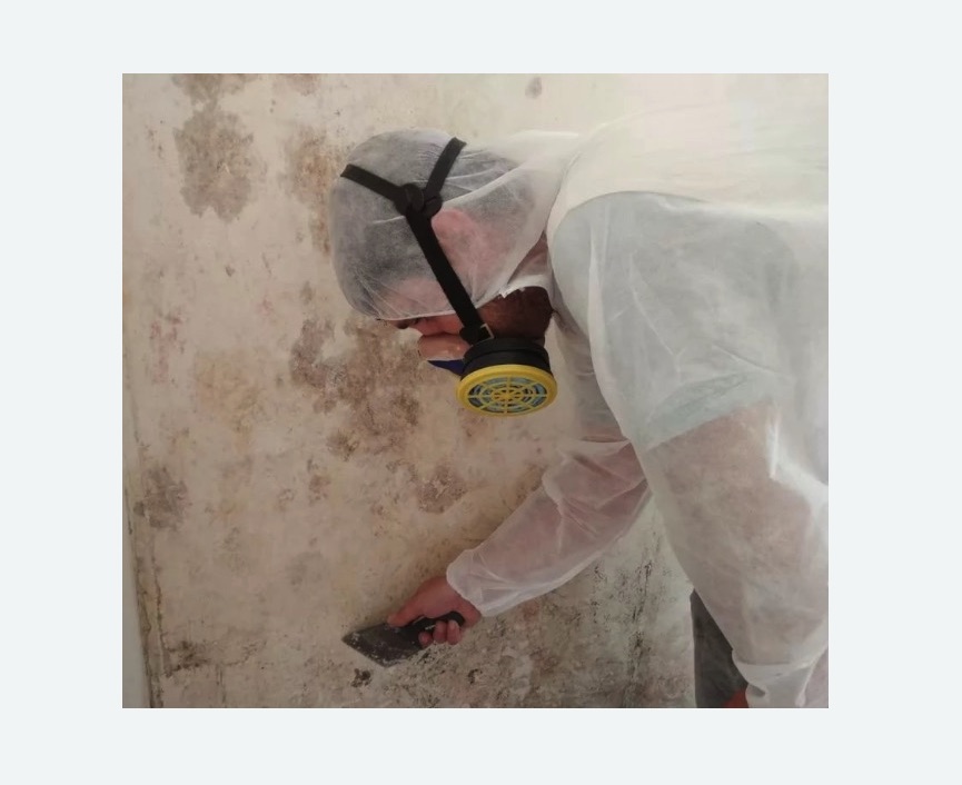 Обработка стен от плесени в Шлиссельбурге