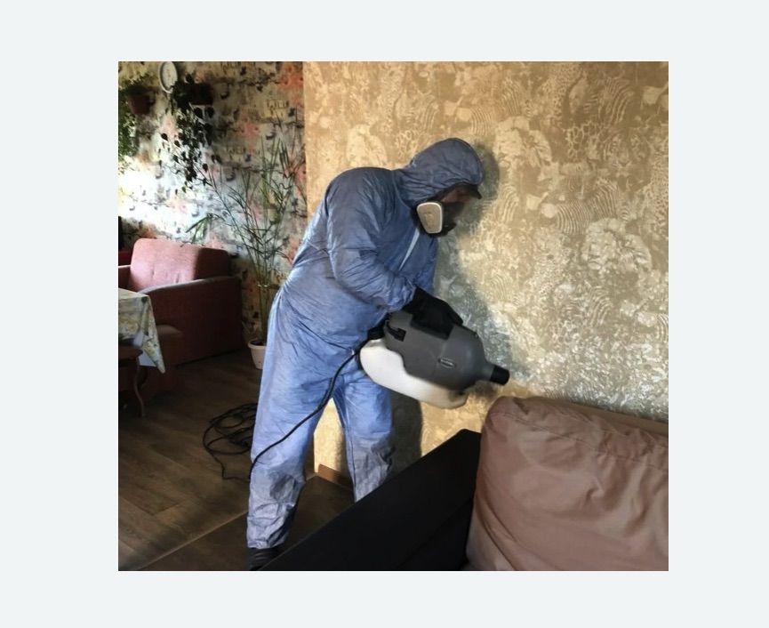 Уничтожение блох в квартире. Шлиссельбург Уничтожение блох в квартире