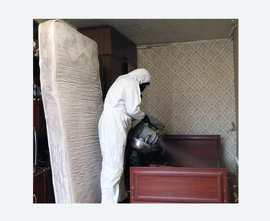 дезинфекция от клопов дезинфекция от клопов в Шлиссельбурге