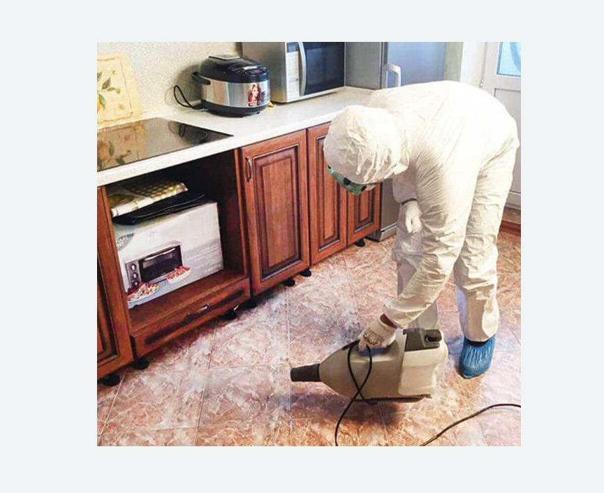 обработка квартиры от клопов в Шлиссельбурге обработка квартиры от клопов