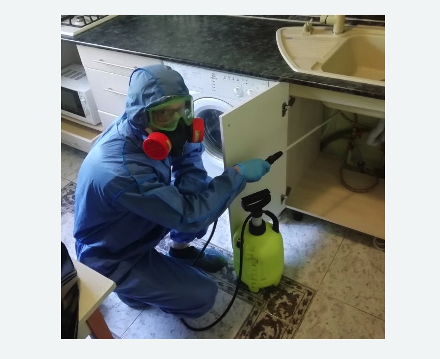 обработка от муравьев в квартире обработка от муравьев в квартире в Шлиссельбурге