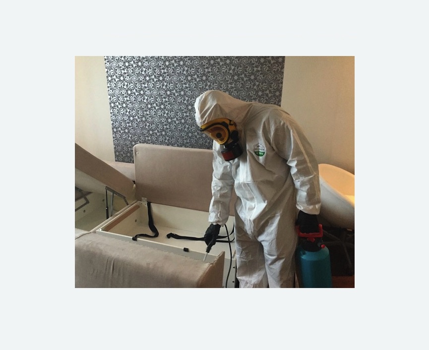 уничтожение клопов в квартире уничтожение клопов в квартире в Шлиссельбурге