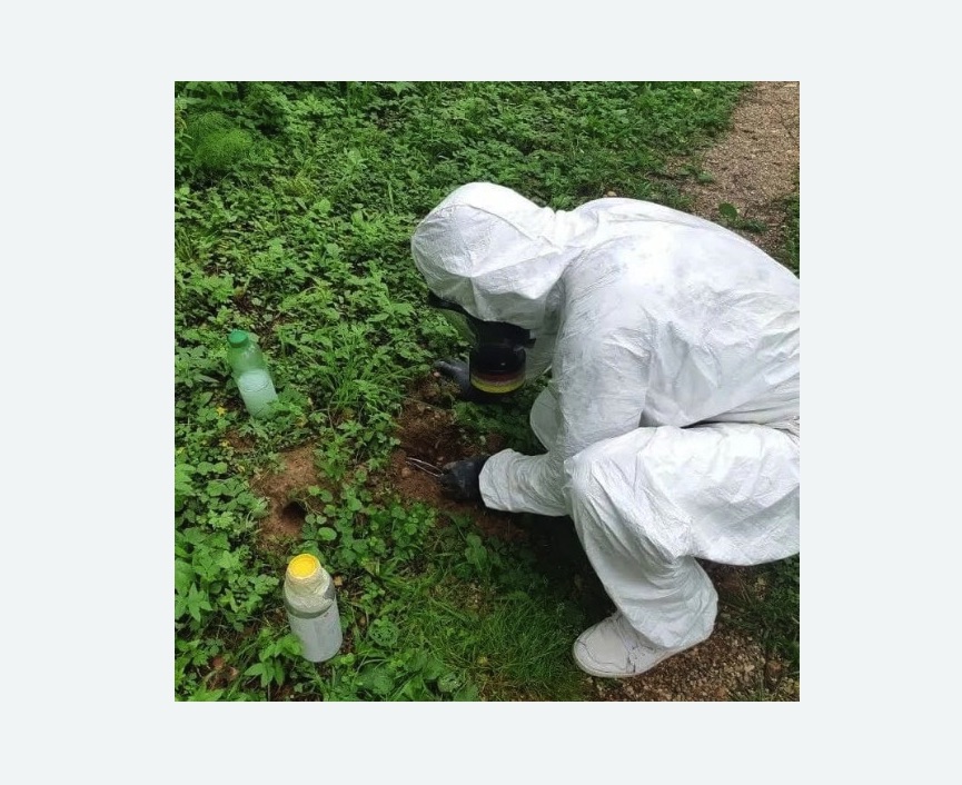 уничтожение кротов на участке уничтожение кротов на участке в Шлиссельбурге