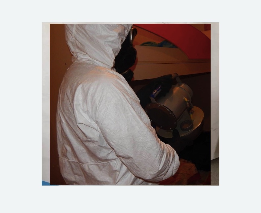 Дезинфекция от муравьев Дезинфекция от муравьев в Шлиссельбурге