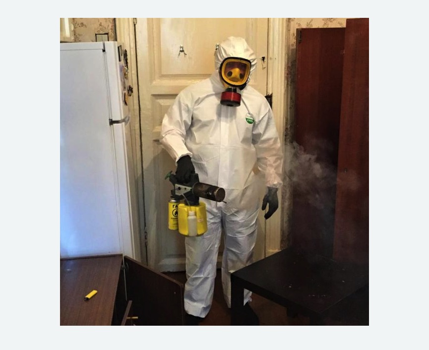 уничтожение муравьев в квартире уничтожение муравьев в квартире в Шлиссельбурге